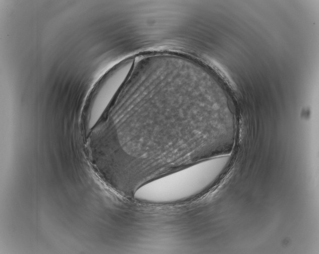 X0000091710876200709141118