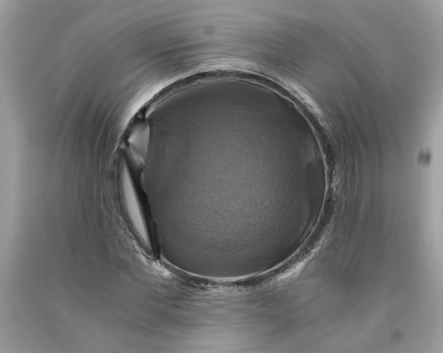 X0000091710877200709141118