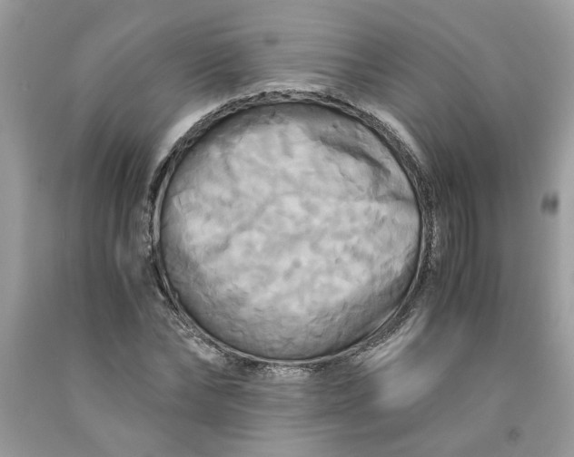 X0000091710878200709141118