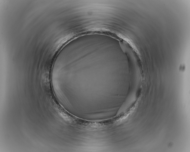 X0000091710881200709141118