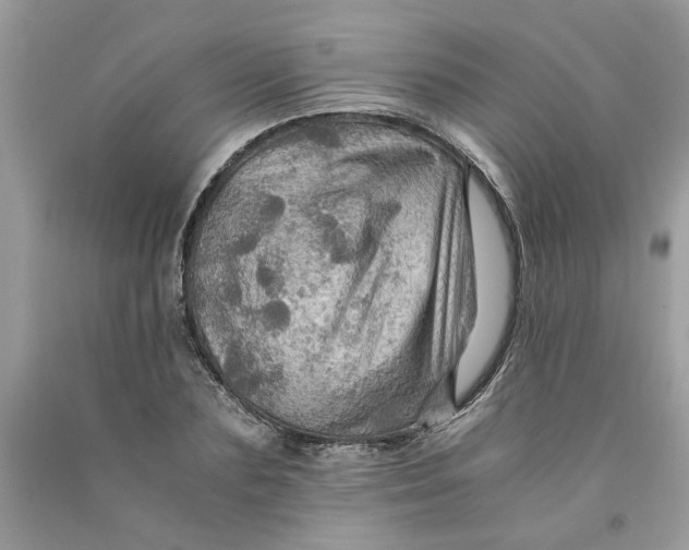 X0000091710883200709141118