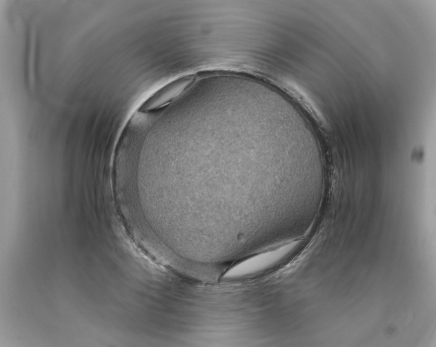 X0000091710884200709141118