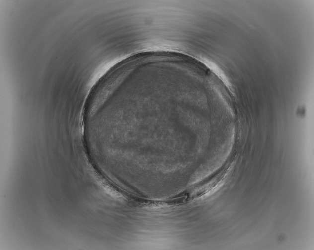 X0000091710885200709141118