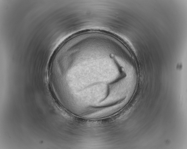 X0000091710887200709141118