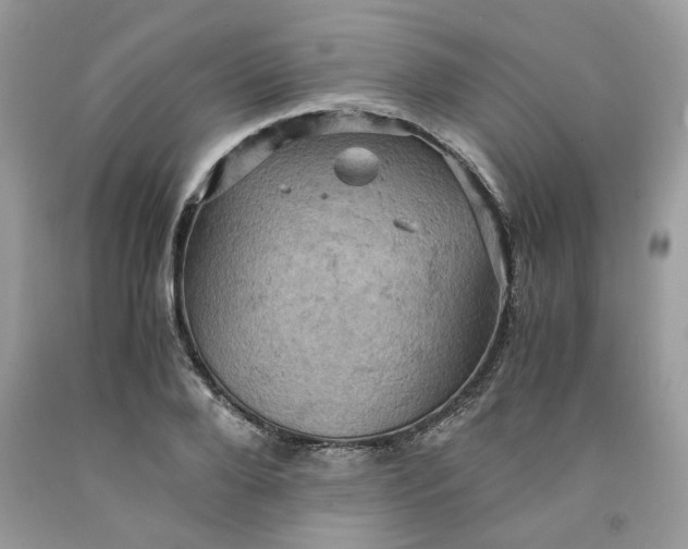 X0000091710888200709141118