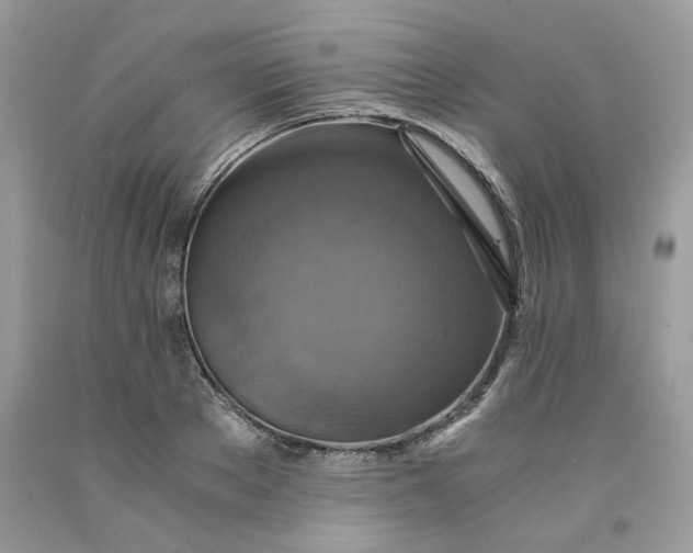 X0000091710889200709141117