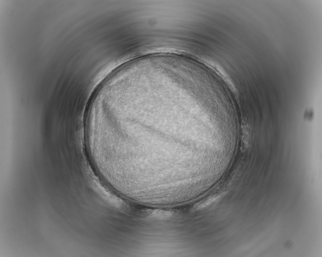 X0000091710890200709141117