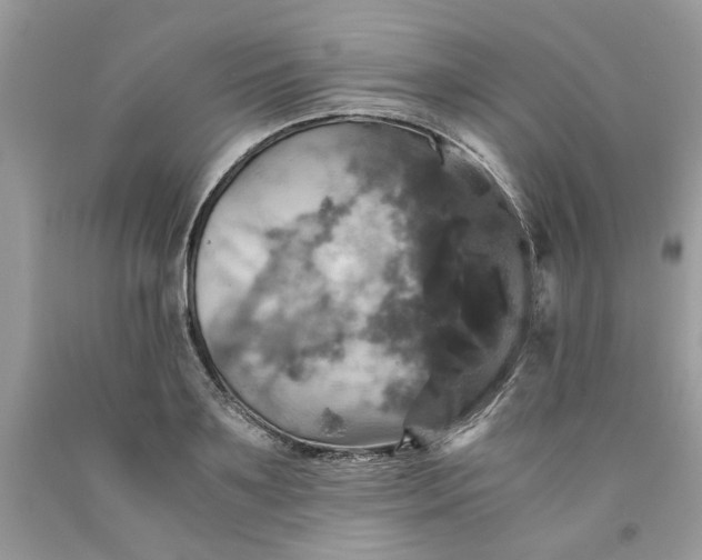 X0000091710891200709141117