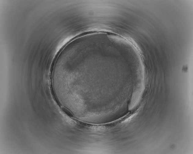 X0000091710893200709141117