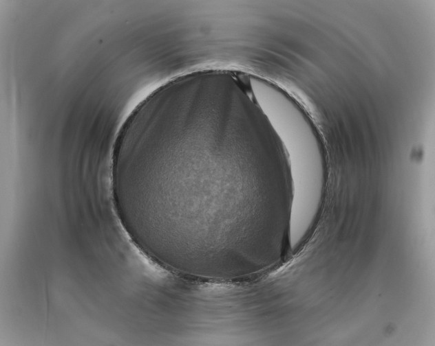 X0000091710894200709141117