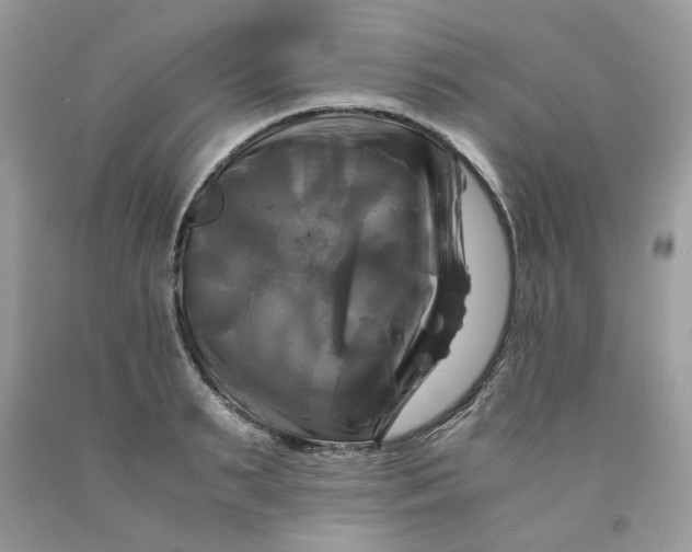 X0000091710895200709141117