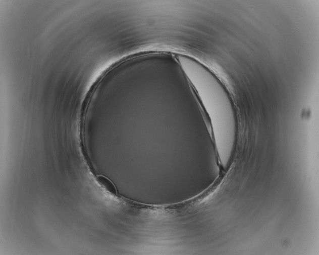 X0000091710896200709141117