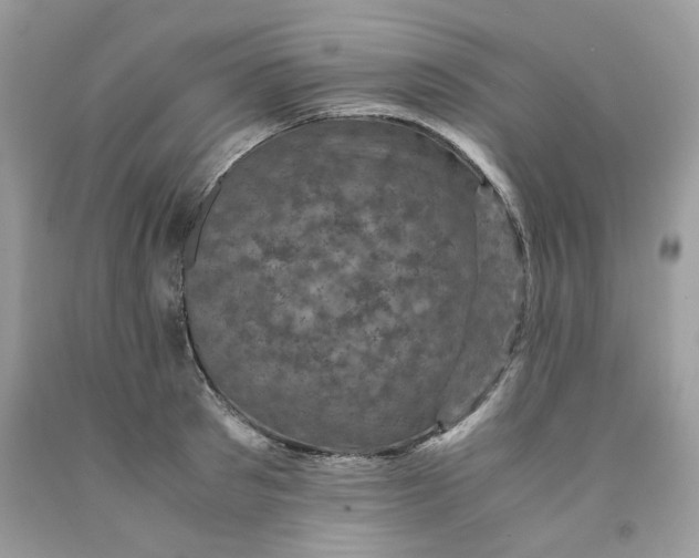 X0000091710897200709141117