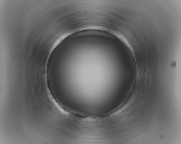 X0000091710898200709141117