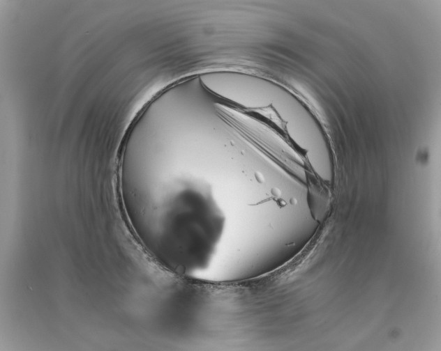 X0000091710899200709141117