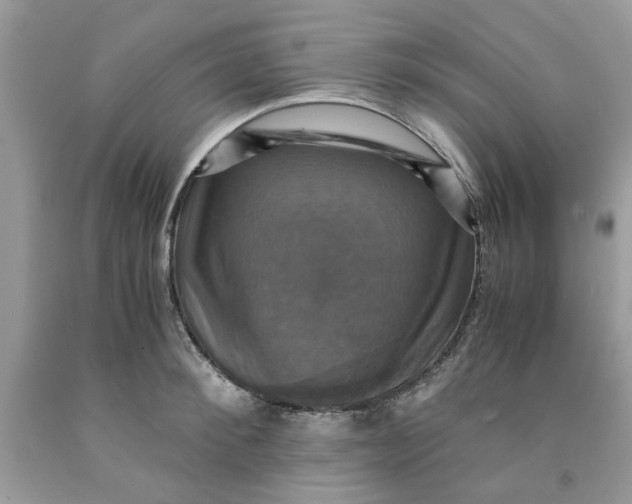 X0000091710900200709141117