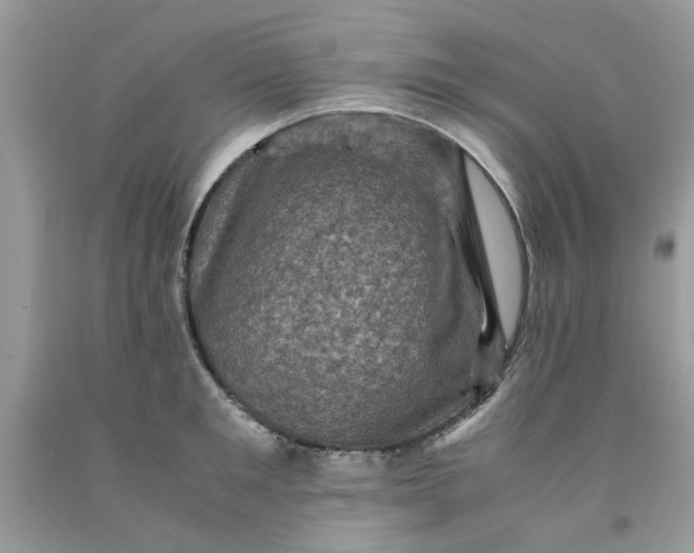 X0000091710901200709141117