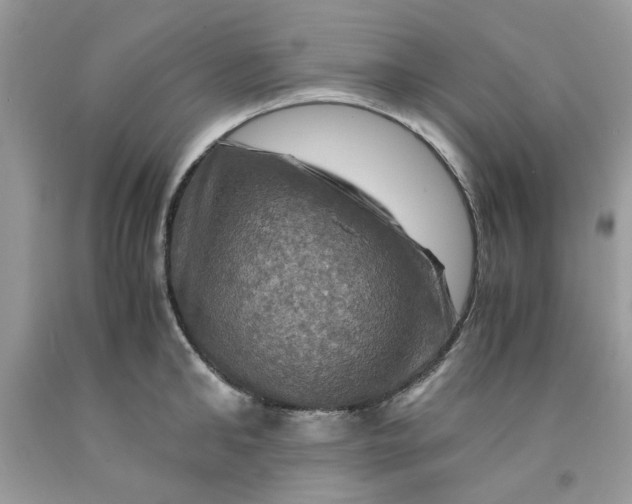 X0000091710902200709141117