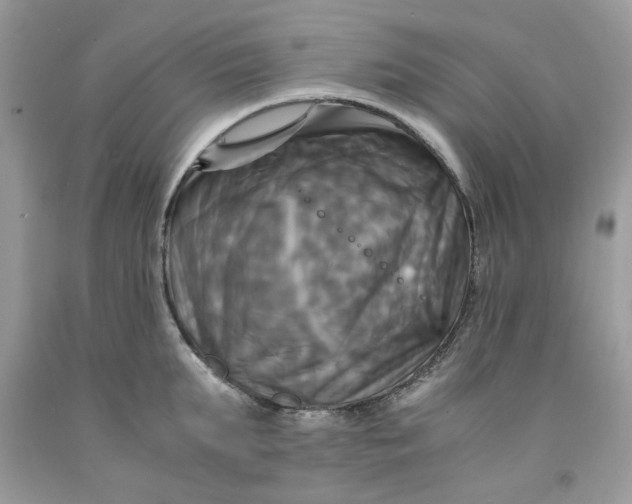 X0000091710903200709141117