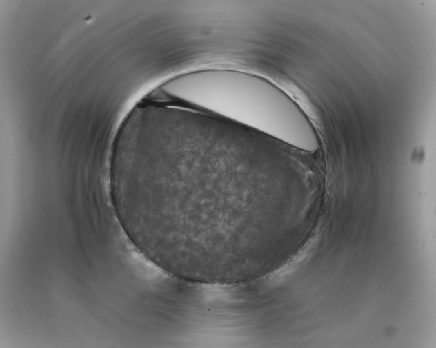 X0000091710904200709141117