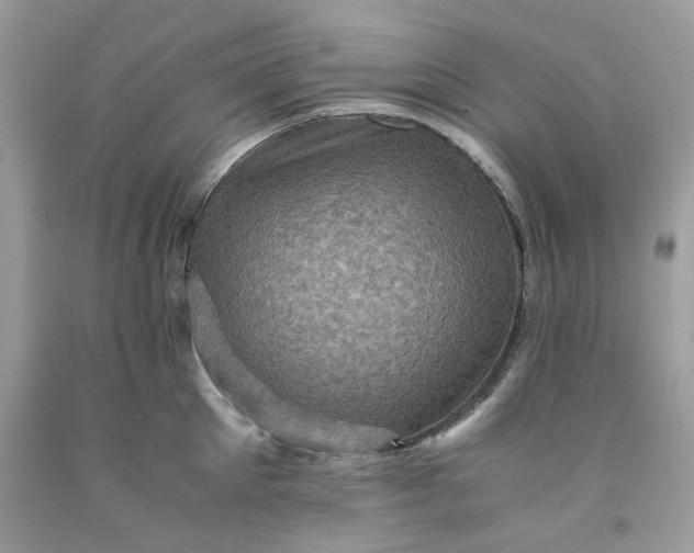 X0000091710905200709141117