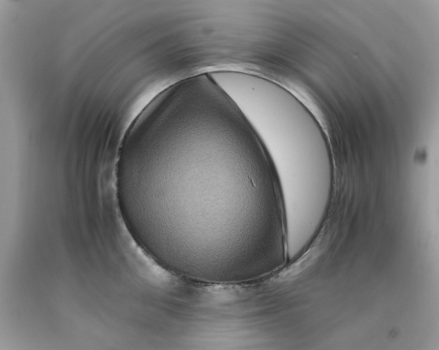 X0000091710906200709141117