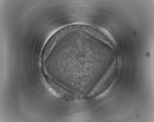 X0000091710908200709141117