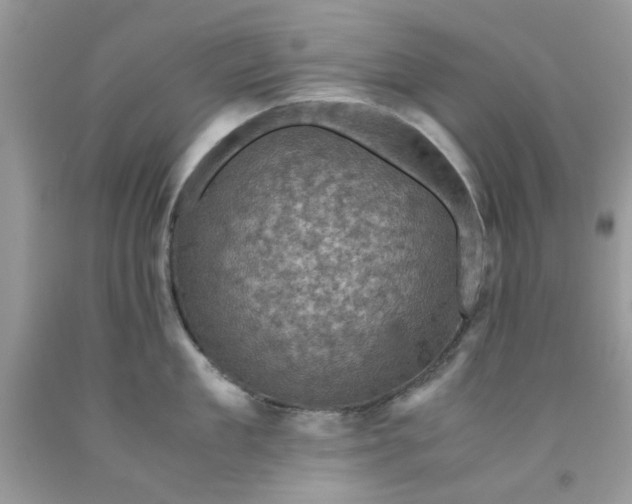 X0000091710909200709141117