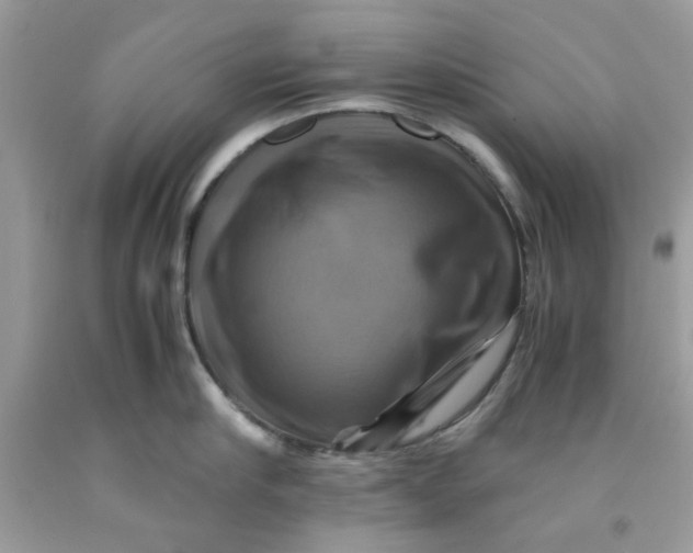 X0000091710910200709141117