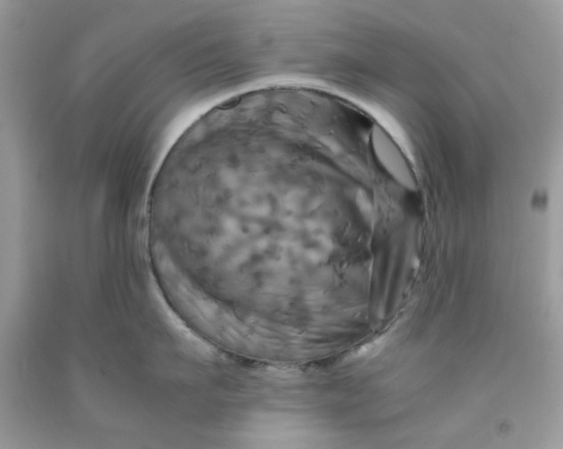 X0000091710911200709141117