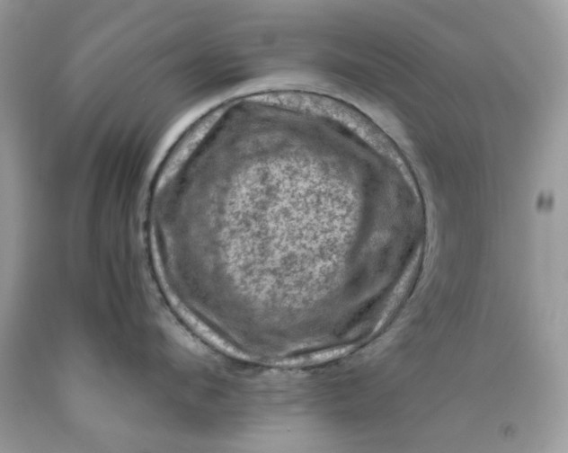 X0000091710912200709141117