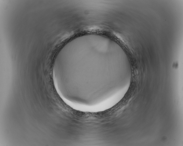 X0000091710913200709141117