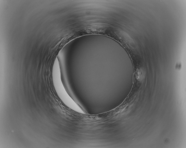 X0000091710915200709141117