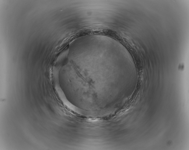 X0000091710916200709141117