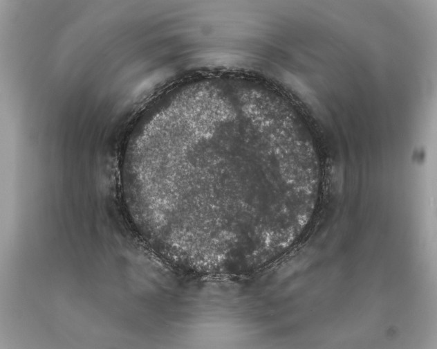 X0000091710918200709141117