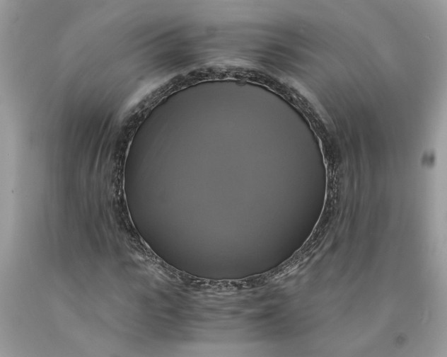 X0000091710919200709141117