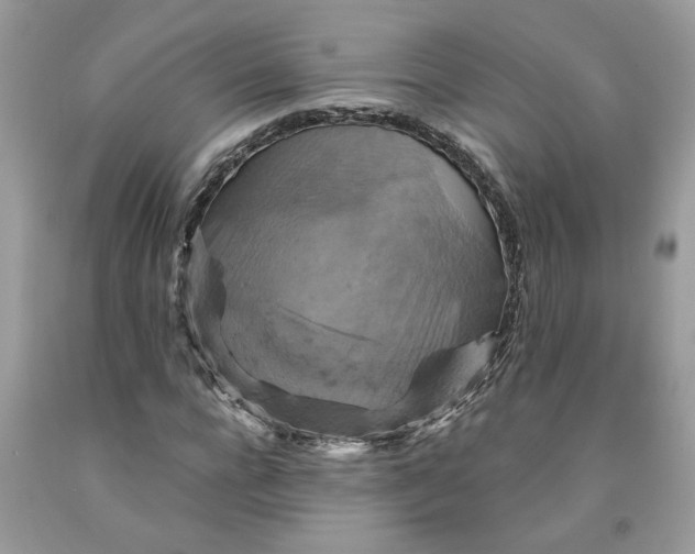 X0000091710920200709141117