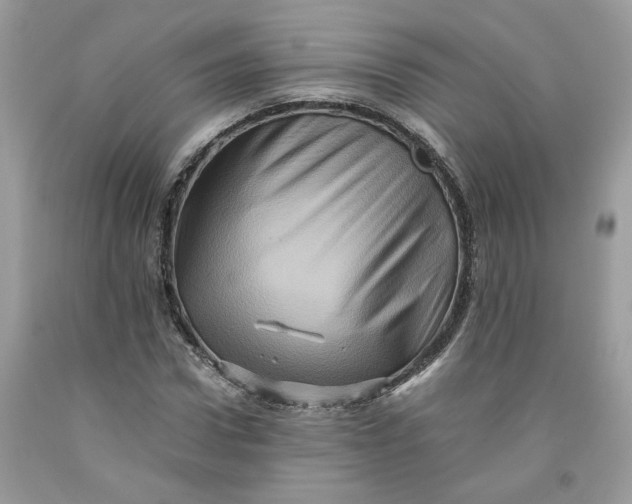 X0000091710922200709141117