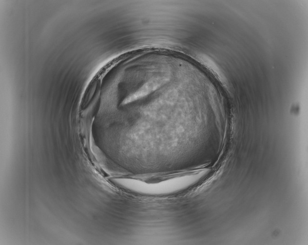 X0000091710924200709141117