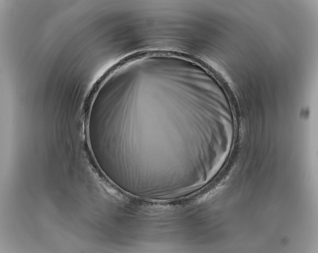 X0000091710925200709141117