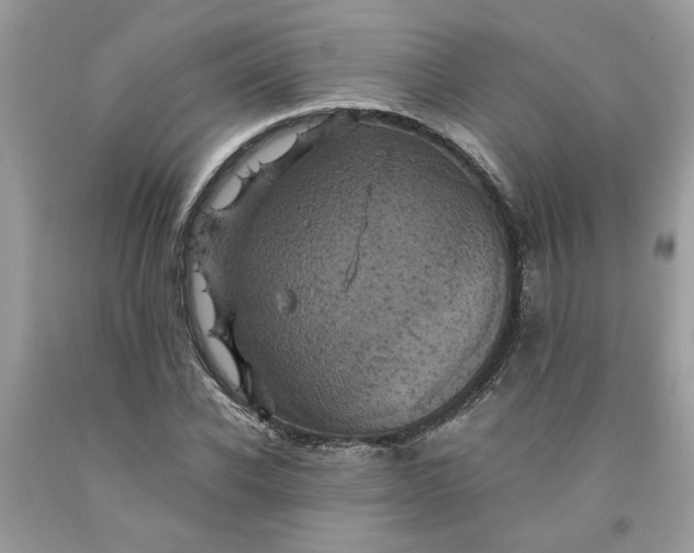 X0000091710926200709141117