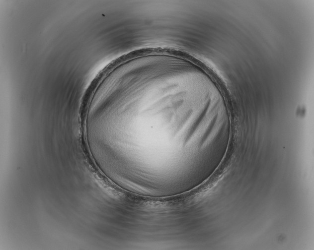 X0000091710927200709141117