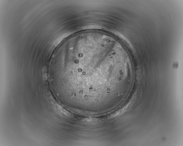 X0000091710929200709141117