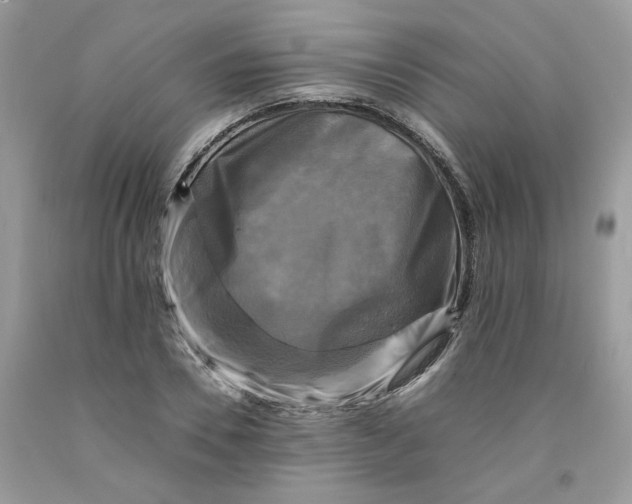 X0000091710930200709141117