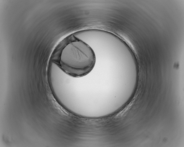 X0000091710932200709141117