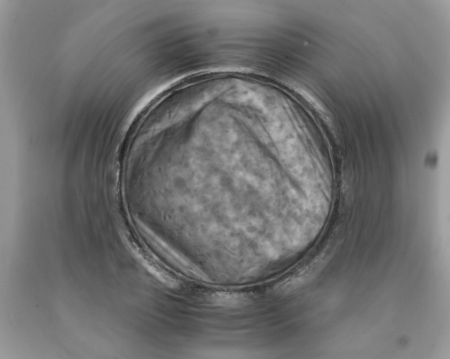 X0000091710933200709141117