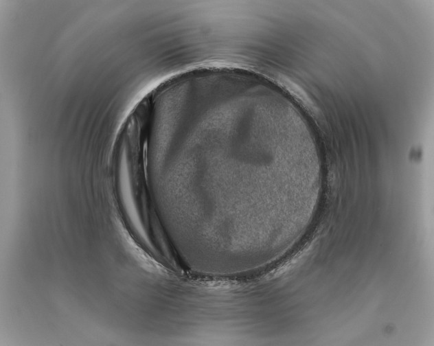 X0000091710934200709141117