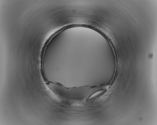 X0000091710935200709141117