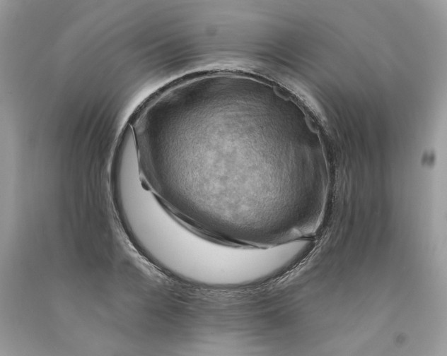 X0000091710936200709141117