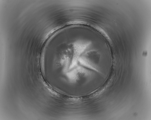 X0000091710937200709141117